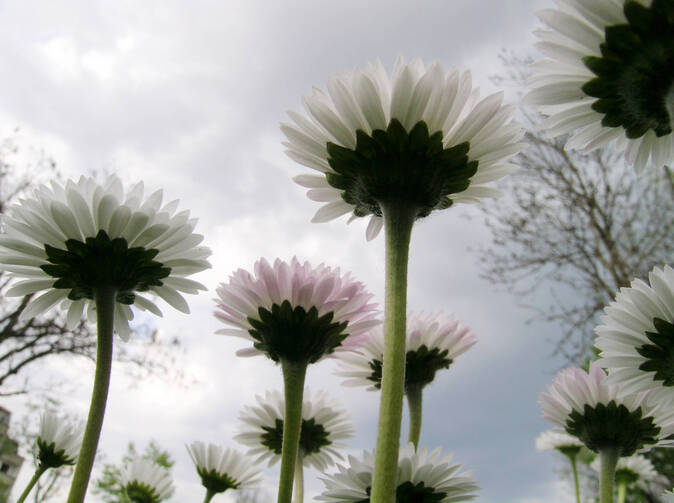 Projekt uvedení značky AXA na český trh získal ocenění Asociace PR agentur