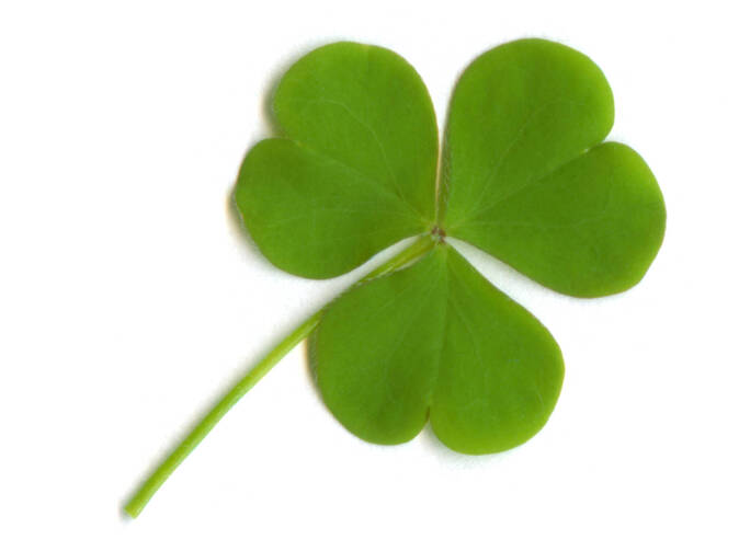 Pověrčiví nejsme, ale co kdyby… 