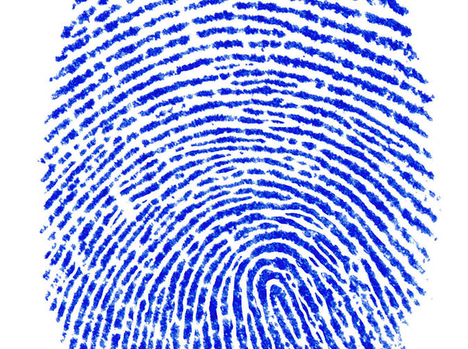 Zlodějů se před dovolenou obává téměř polovina domácností 