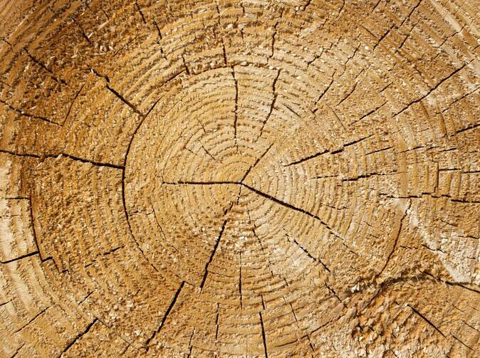 Zájem o pojištění následků klíšťové meningoencefalitidy  