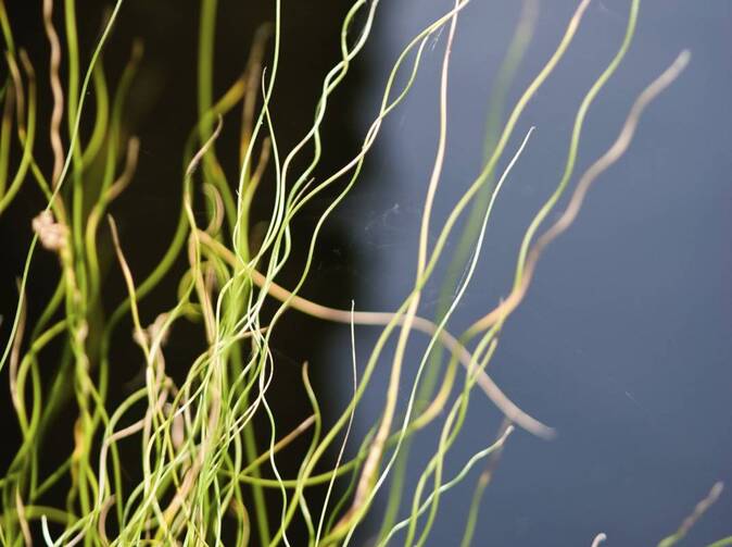 Největší teroristické útoky podle ztrát na pojištěném majetku