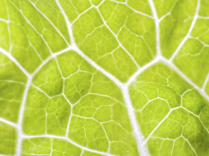 Čína: Velký trh, nesnadné podnikání