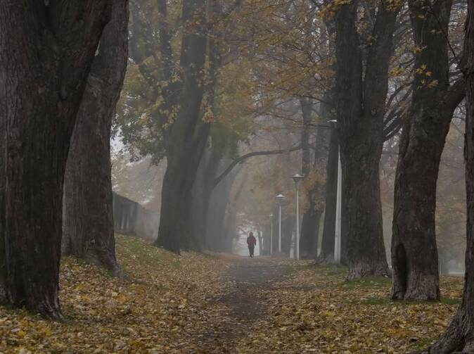 Diplomatický úspěch v pojištění myslivců