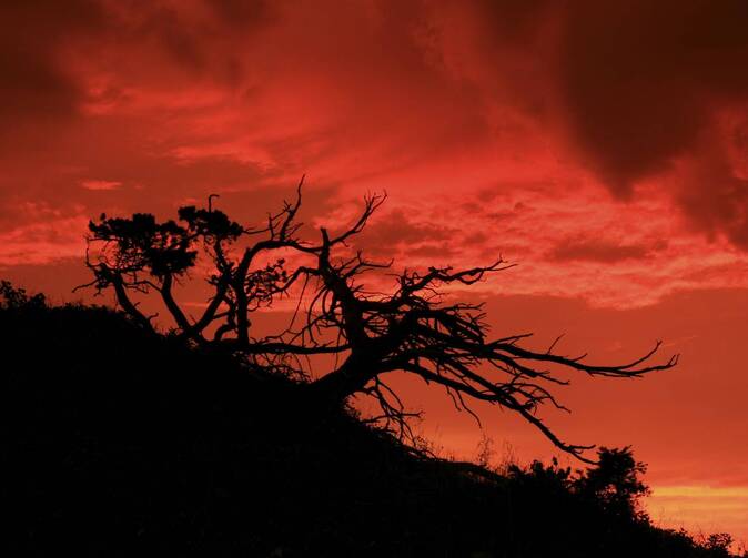 Hannover Re hlásí ztrátu za třetí kvartál