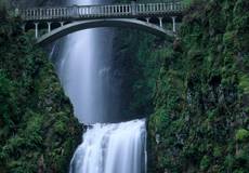 Evropská Cestovní Pojišťovna zavedla online systém hlášení škod 