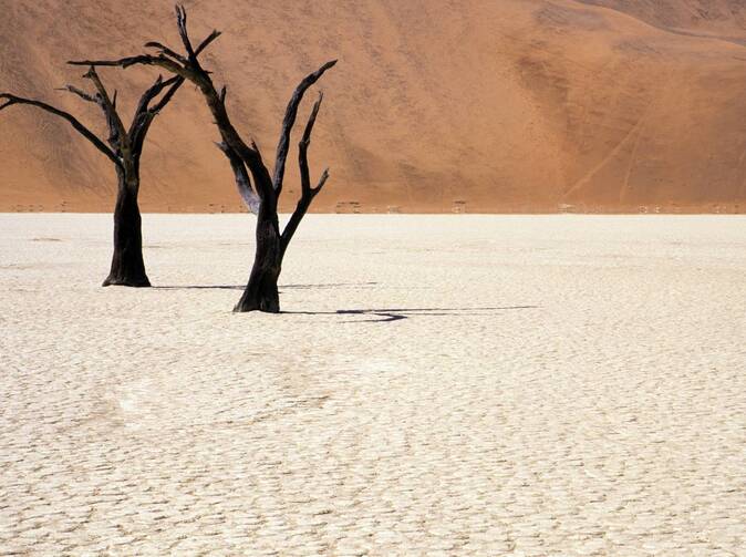  Na výrobu litru piva je potřeba až 180 litrů vody! 
