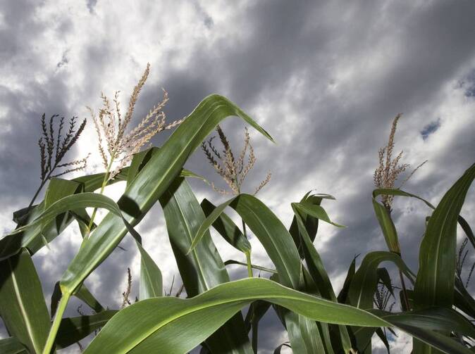 Dva měsíce po Emmě: pojišťovny vyplatily většinu škod