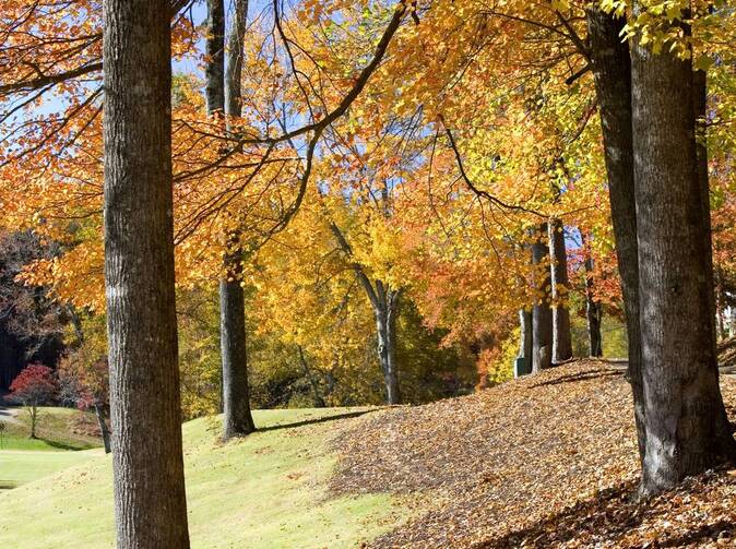Odpovědnost za životní prostředí - ano, ale kde na to vzít?