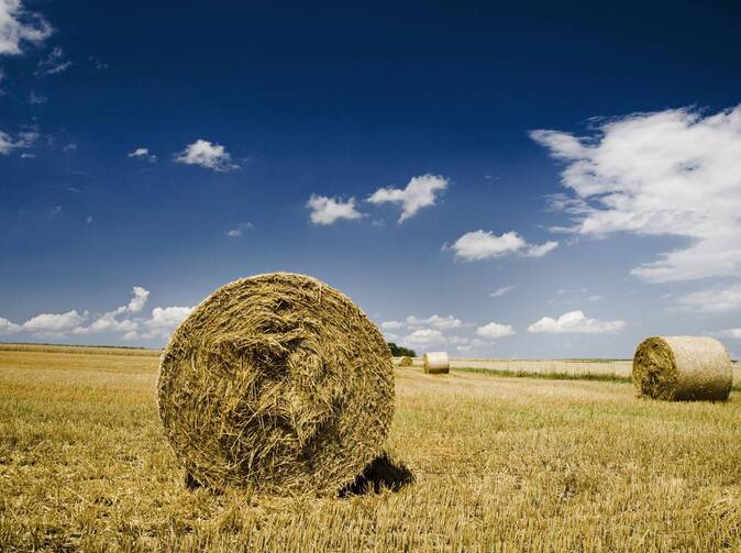 Zemědělské pojišťovny pod lupou: Agra pojišťovna