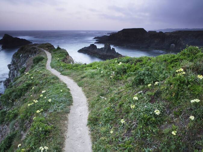 Na cesty s Kolbabou - nová aplikace Allianz