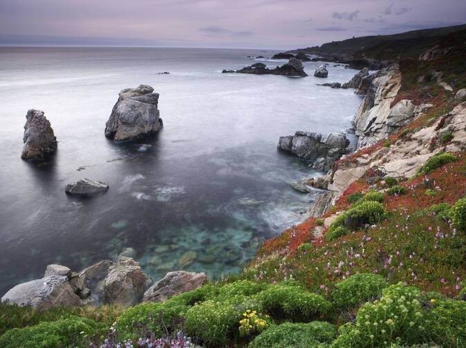 Allianz: nárůst asistenčních zásahů v rámci cestovního pojištění