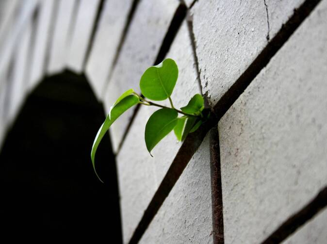 Pojišťovny pro zajištění udržitelného rozvoje