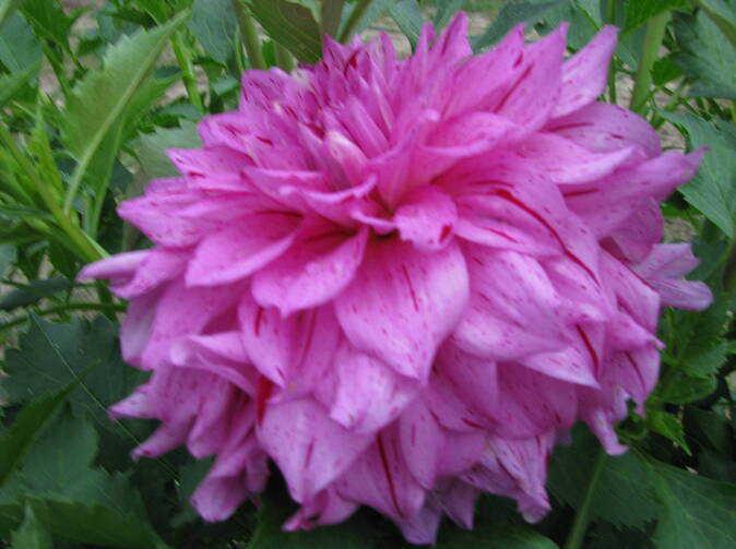 Plnění z úrazového pojištění - díl druhý