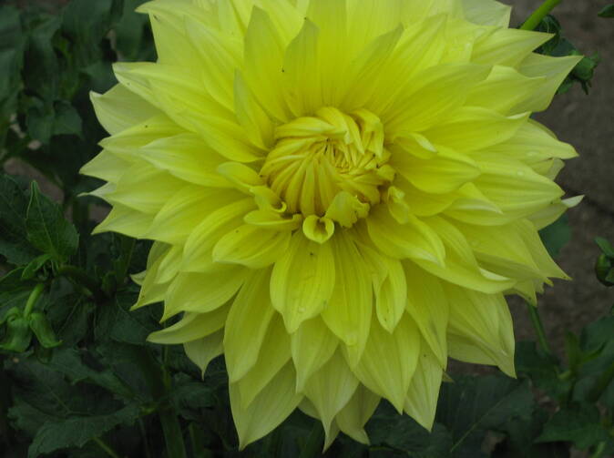 Zelené motocykly mají u DIRECTu zelenou 