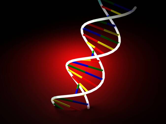 Vývoj pojistného trhu v roce 2011: Životní pojištění