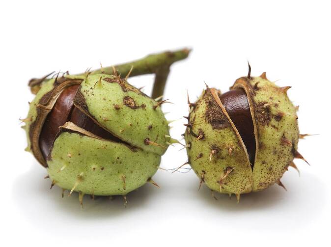 Řízení rizik v turbulentní době