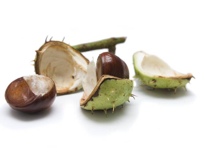 Allianz má ve střední a východní Evropě solidní výsledky