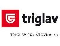 
			Co letos pojišťovny plánují - Triglav pojišťovna