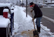 
			Pojištění není nástroj na úklid chodníků (bohužel)