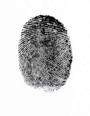 Prokázané pojistné podvody opět překročily půl miliardy