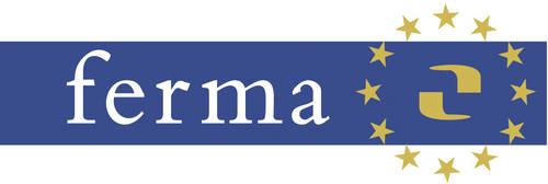 Стандарт ferma. Стандарт ferma. Стандарт управления ferma. Риски по стандартизации. Стандарт управления ferma.