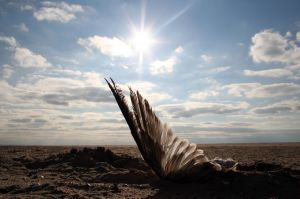 Pojištění ekologických škod: EnviroPro