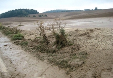 Zemědělské škody klientů ČP jsou nejhorší za dvacet let