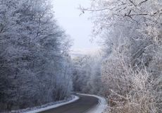 
			Užitečné tipy: Bezpečně na hory do zahraničí 