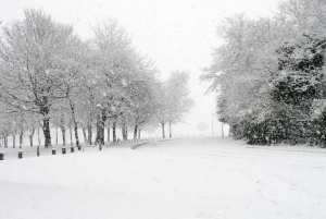 Rekordní zima přišla britské pojišťovny velmi draho