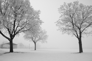 Sibiř sevřely tuhé mrazy, teploty klesají k minus šedesáti 