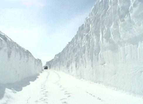 Sníh přerušil dodávky proudu do stovek domácností