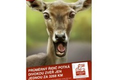 Nová reklamní kampaň Generali na povinné ručení – Protože každý je jedinečný