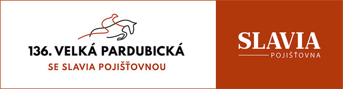LOGO136VP
