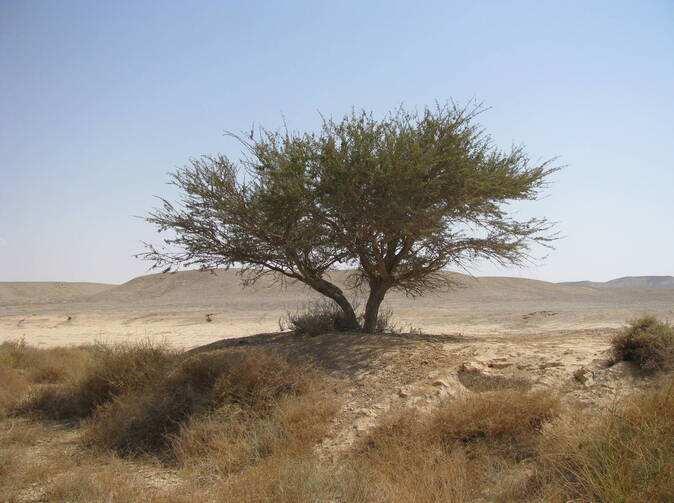 Sucho vážně ohrožuje Evropu