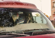 Allianz: Zaveďme řidičský průkaz pro autonomní vozidla 