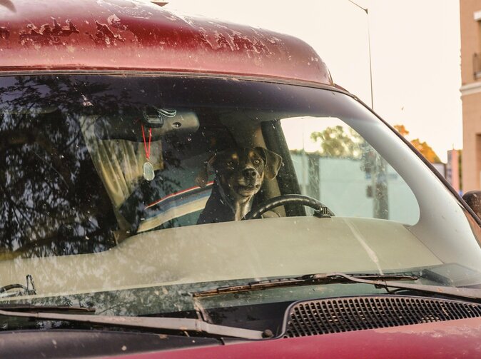 Allianz: Zaveďme řidičský průkaz pro autonomní vozidla 