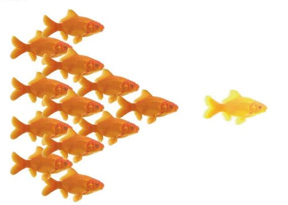 Řady USF rozšiřuje společnost Lekvi & Partners s.r.o.