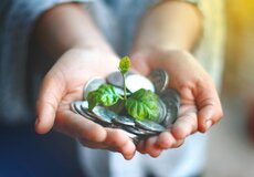 Zdravotnictví bez obálek: Jde to i legálně?