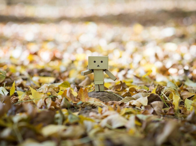 Jaké jsou priority IAIS pro následující dva roky?