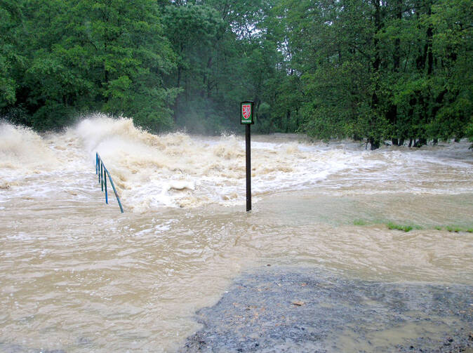 Kooperativa již vyplatila přes 140 milionů Kč 