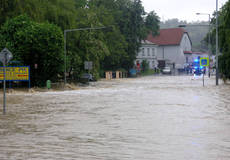 
			Pojišťovací makléři aktivují své krizové plány