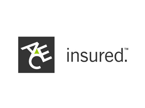 ACE zakládá v Evropě nový útvar kybernetických rizik