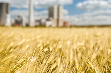 Podle SwissRe je na obzoru další vlna prodlužování střední délky života, ale…