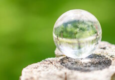 Dvacátý druhý běh studia – Technické znalectví a likvidace pojistných událostí