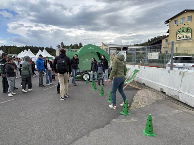 Sosnova_opilecke_bryleI