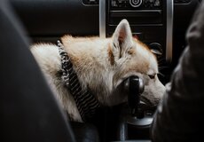 Autonomie končí u odpovědnosti