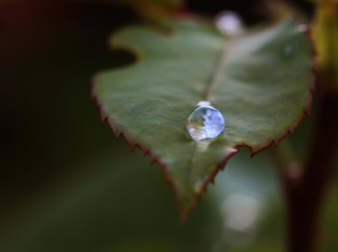 Zdravější krajina, odolnější obce: Prevence s podporou Nadace Kooperativy
