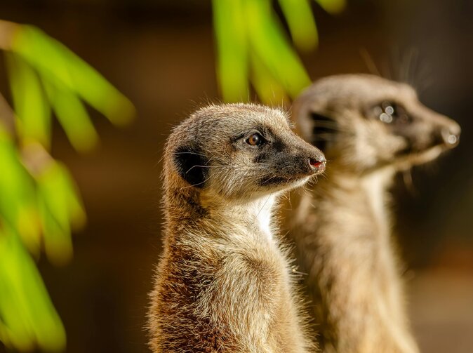 SURI.CZ začíná srovnávat i pojištění majetku. Klienty ochrání před podpojištěním