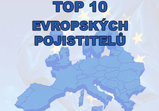 
			TOP 10 - největší evropské neživotní pojišťovny