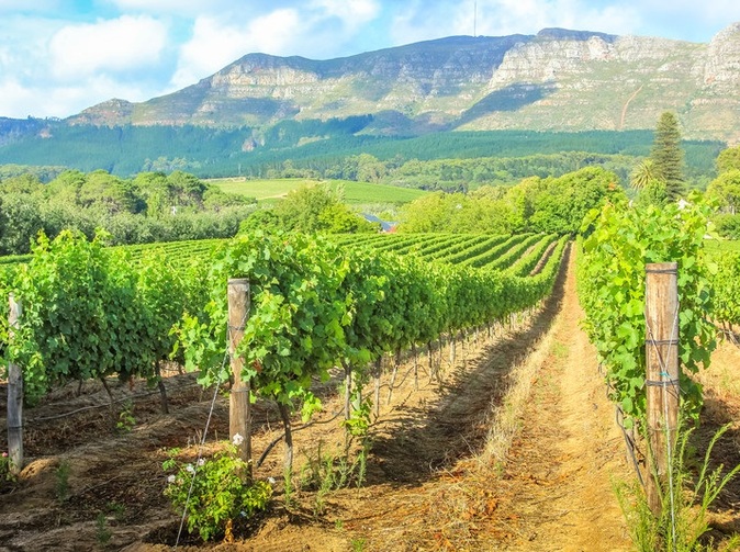 Volby se blíží. Vláda schválila náhradu za letošní sucho a mrazy